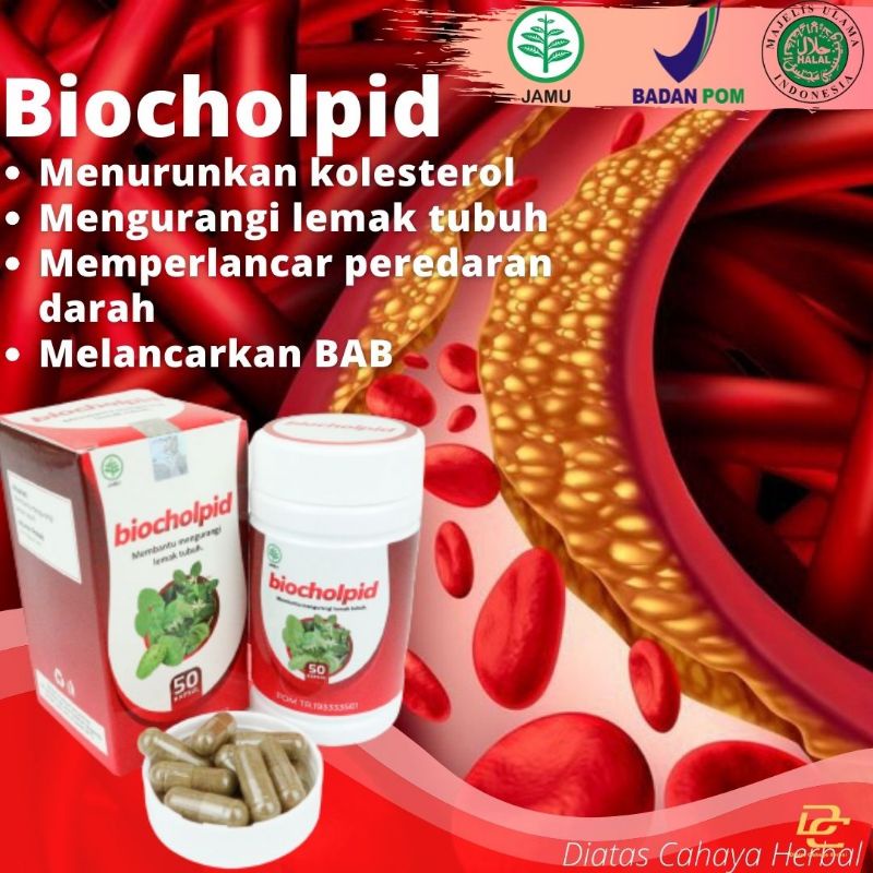 BIOCHOLPID obat kolesterol tinggi, mengurangi lemak tubuh, Melancarkan perederan darah