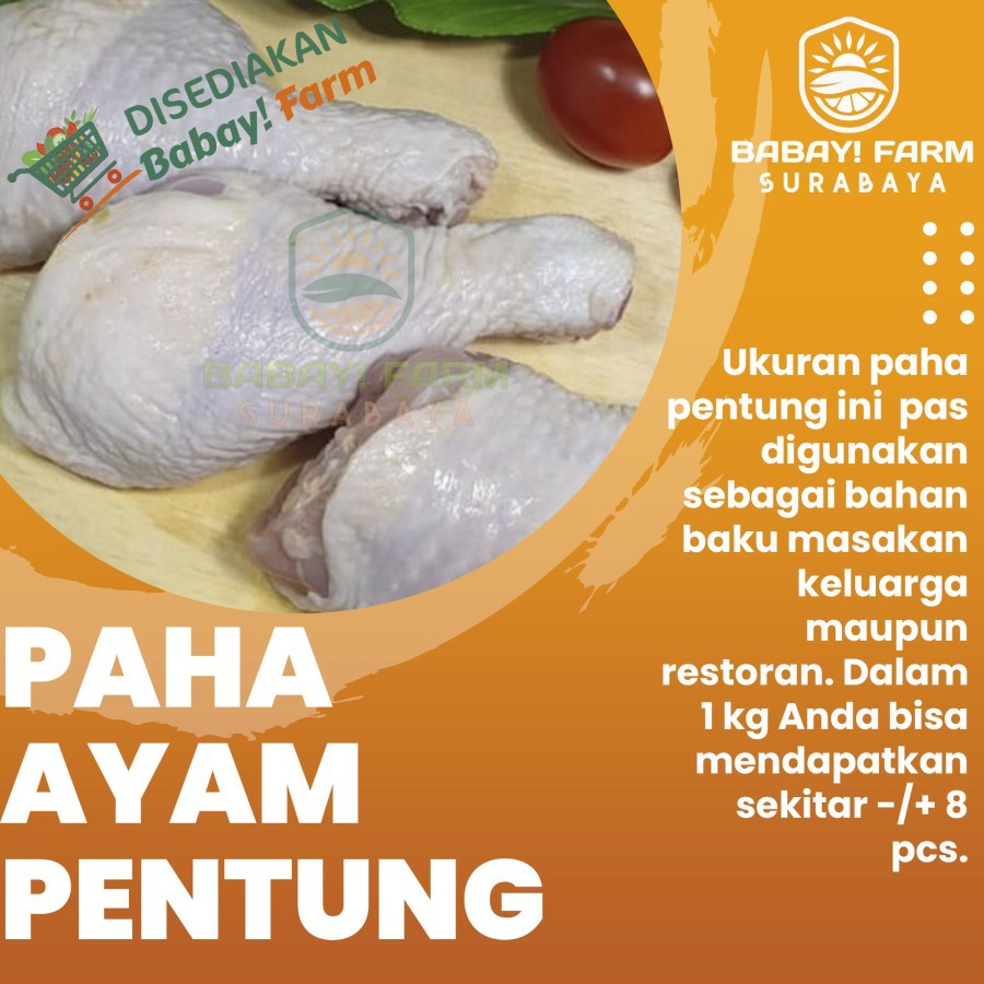 

Daging Paha Ayam Pentung / Chicken Drumstick