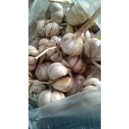 

bawang