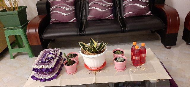 Pot Plastik Vas Bunga Vas Cantik  Pot Bunga Plastik Tanaman Hiasdekorasi Dan Perlengkapan Rumah