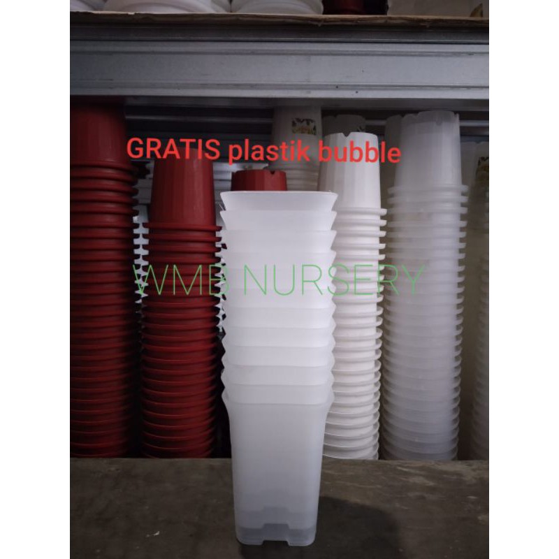 LUSINAN. Pot NKT kotak 12