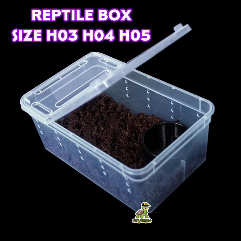 KANDANG REPTIL LEOPARD GECKO BALLPYTHON SKINK UROMASTYX KURA AIR RES BRAZIL BERBAGAI UKURAN