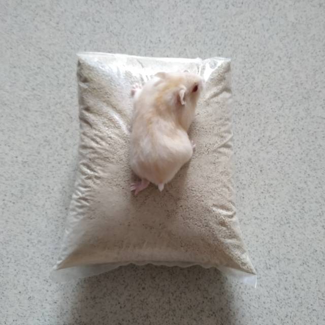 Pasir Zeolit/Zeolite halus no. 1 (1 kg)