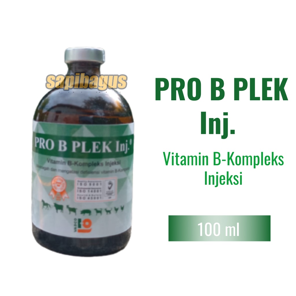 Jual Pro B Plek Inj - Vitamin B- Kompleks Injeksi - Sapibagus | Shopee ...