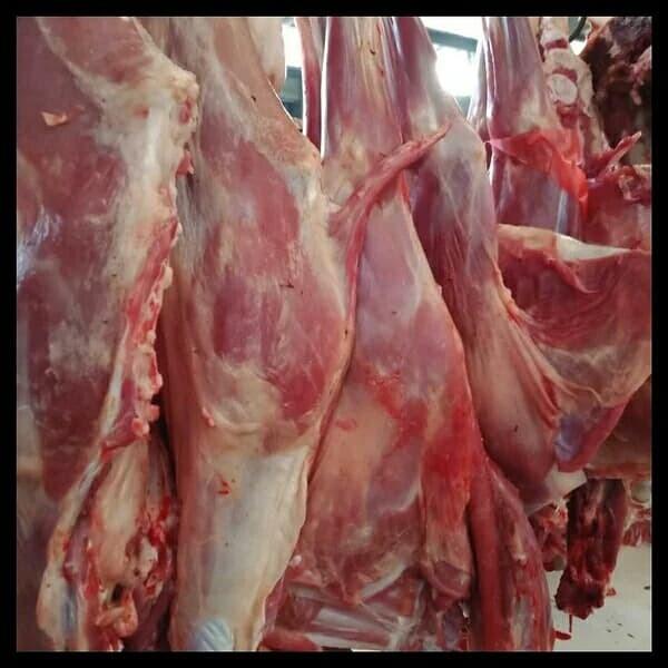 

Meat | Paha Daging Kambing Muda Fresh 1 Kg