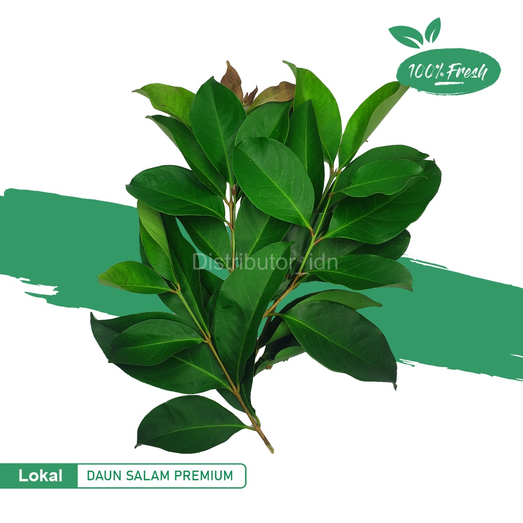 

Daun Salam Premium/1ikat