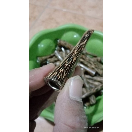 pipa, once mini,liwung macan