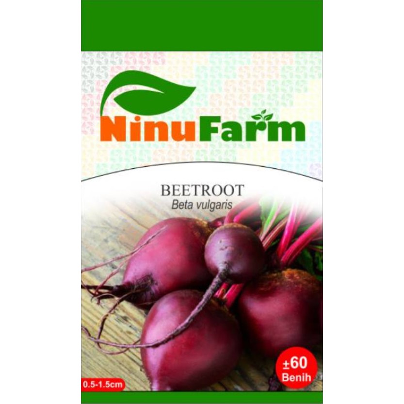 Benih Bibit Buah Beetroot/Bit Merah Ninufarm (60 Butir)