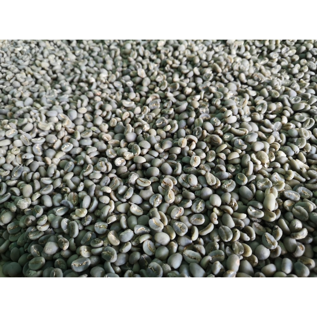 

Green Bean Kopi Arabika Gayo specialty 1 Kg. Semiwash. Wet Hull. Giling Basah. Gayo Proses