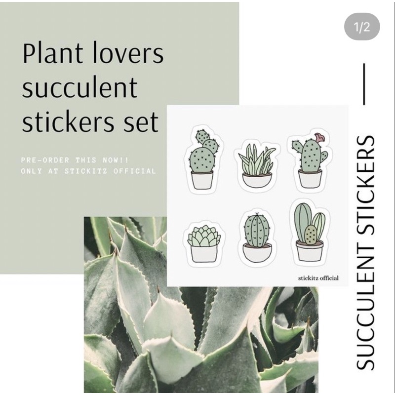

Succulent plants sticker