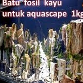 BATU FOSIL KAYU ISI 1KG / batu dekorasi aquascape / batu tebing / batu hiasan aquarium / Random