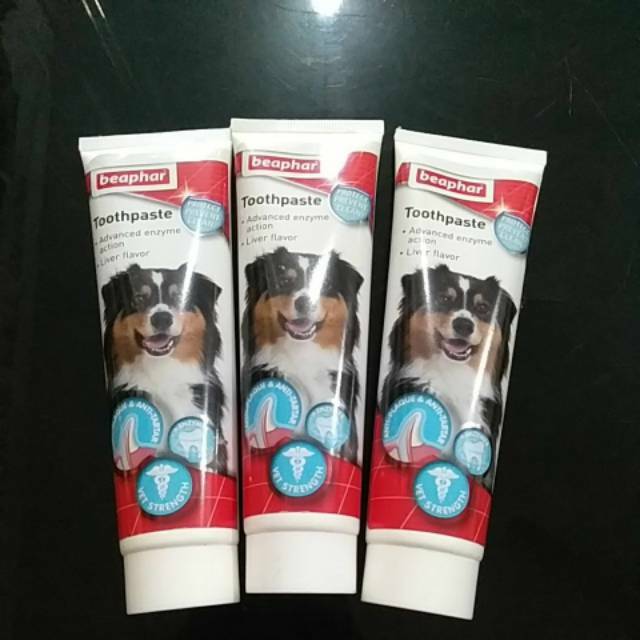 BEAPHAR TOOTHPASTE 100G