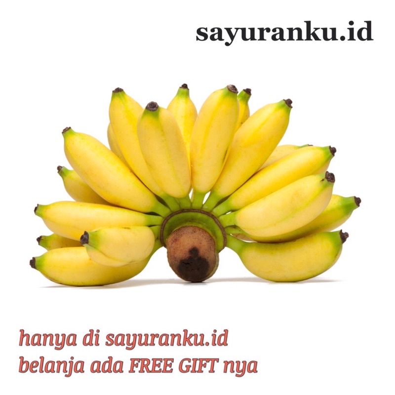 

pisang mas per sisir pisang mas fresh pisang mas segar