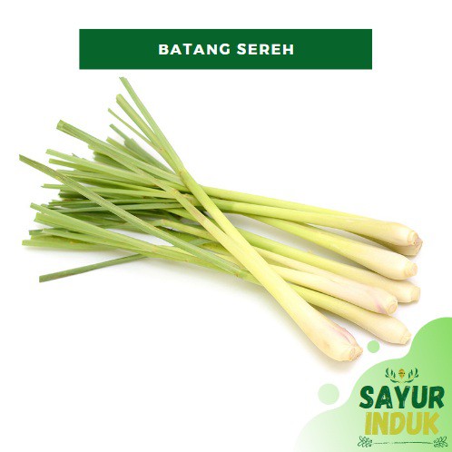 

Sayur Induk - Batang Sereh 250 Gram Fresh Grade A Batang Serai
