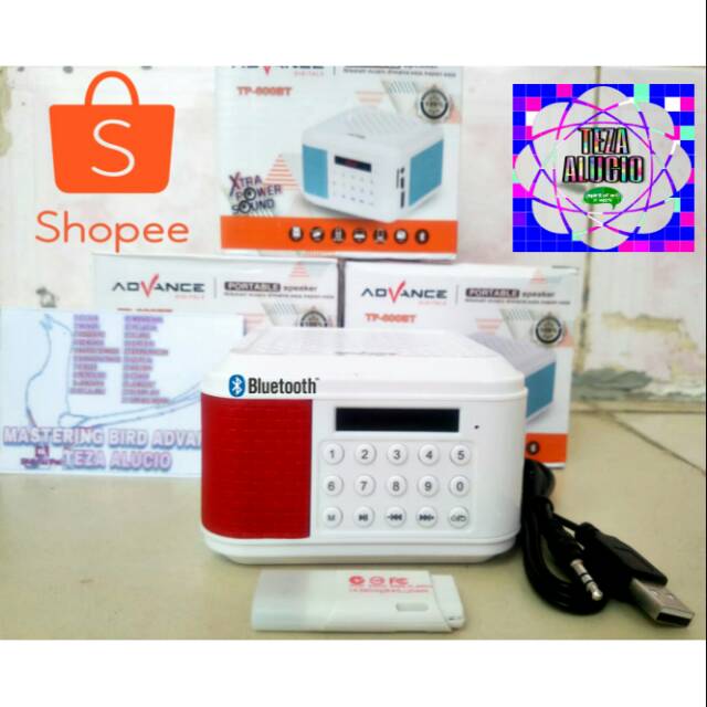 Masteran Burung Suara Jernih