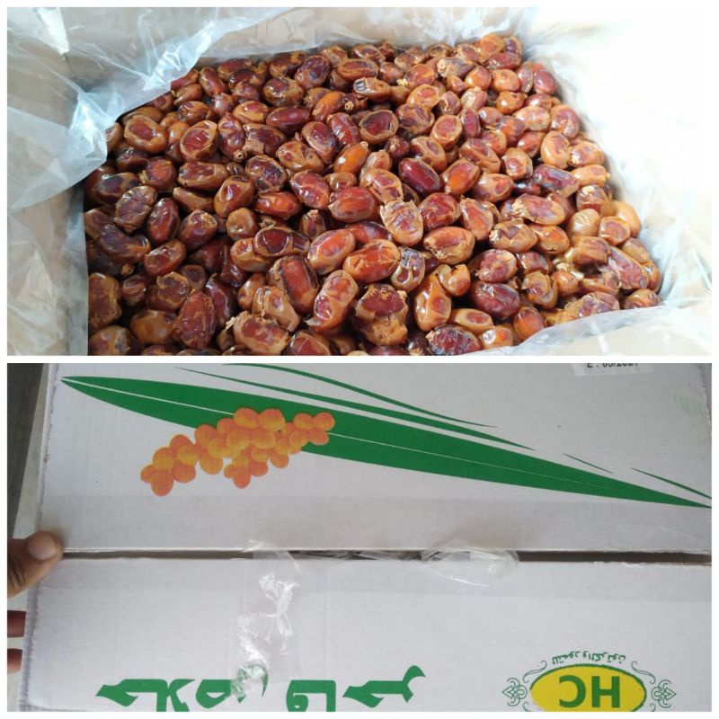 

KURMA KHOLAS SAAD ENAK MURAH EKONOMIS