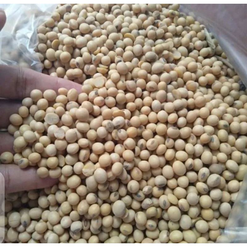 

Kacang kedelai 1000gr