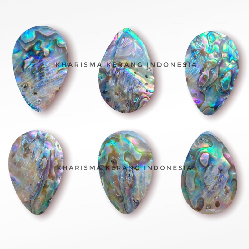 PAUA ABALONE SHELL PENDANT ABALONE SHELL BACKSPLASH TILE ABALONE INLAY ABALONE SHELL ABALONE KERING 