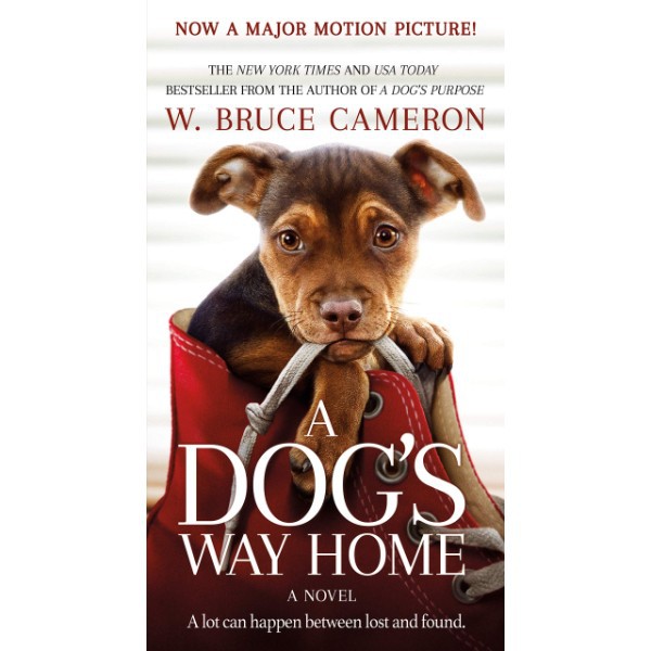 Buku A Dogs Way Home - 9781250301901 Original Book Bruce Cameron Novel