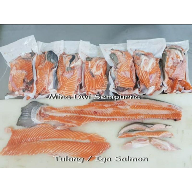 

Tetelan Ikan Salmon