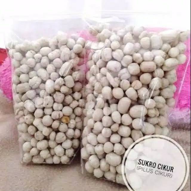 

sukro cikur isi 250gr