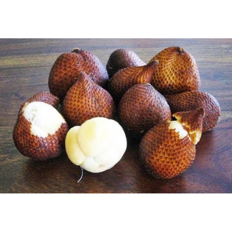 

Buah Salak Segar berkualitas - 1 kilogram