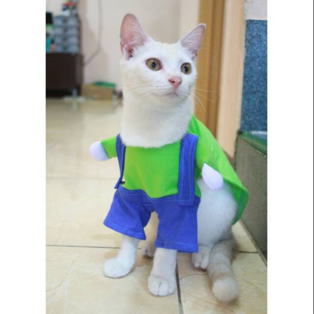 Kostum kucing berdiri lucu warna hijau biru / baju kucing murah meriah size S M L XL