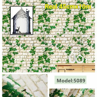 DISKON PROMO - wallpaper dinding murah - Daun rambat hijau - size 45 cm x 10 m - SOLUS DEKORASI