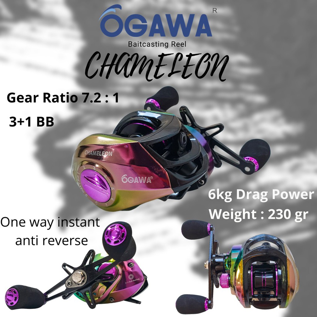 Reel Pancing Bc Ogawa Chameleon Baitcasting Reel 7.2:1 Smooth