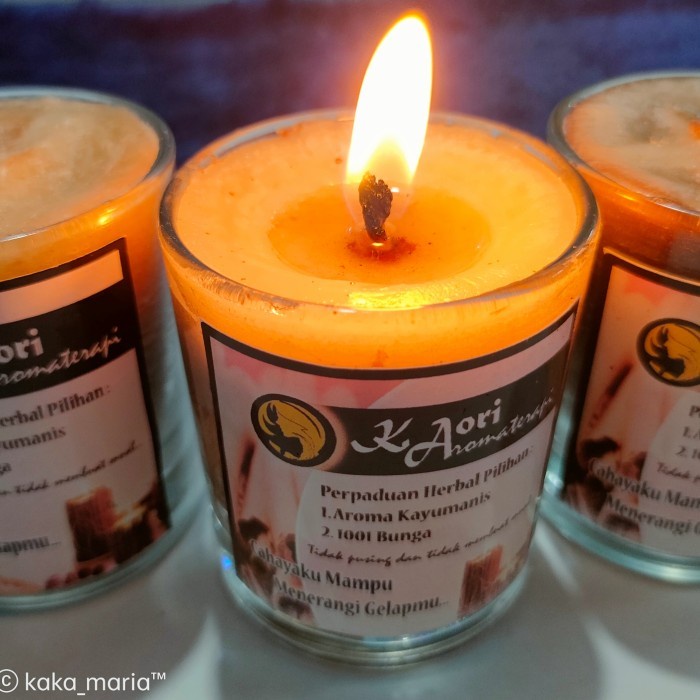 

Lilin Aroma Terapi Pengusir Lalat 1Pcs Free 1 Gelas 400ml Botol Unik