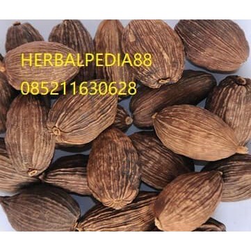 

Cao guo Cardamon black Cardamon Premium kapulaga hitam impor India 50g