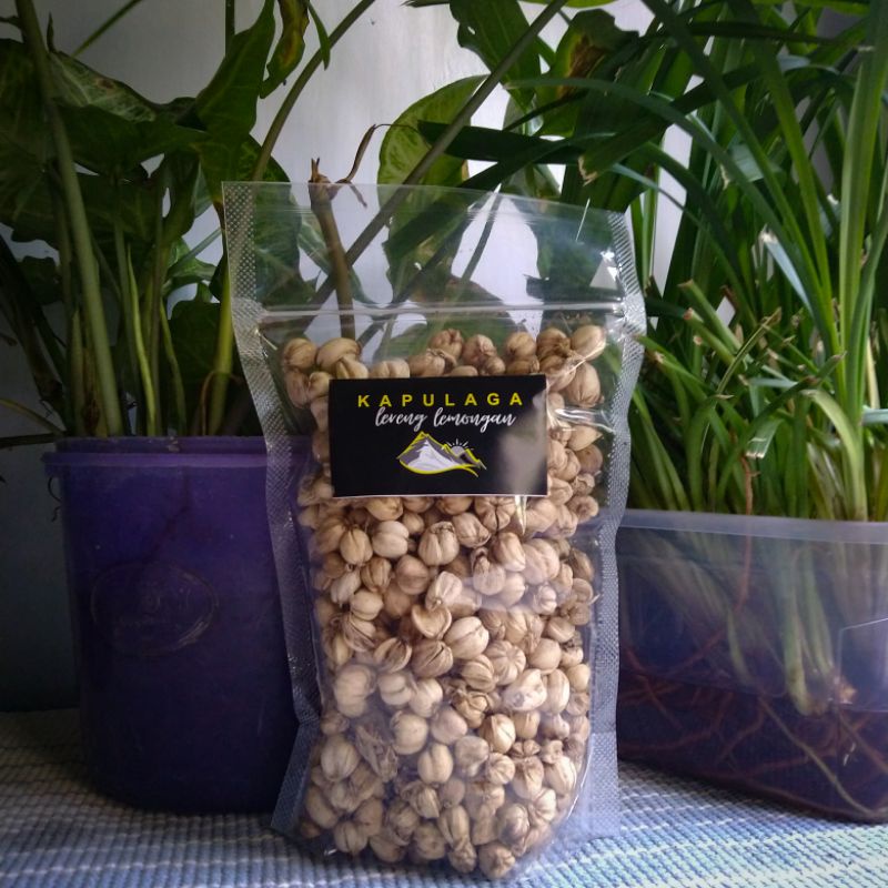 

Kapulaga Jawa|Kapulaga Kering| Kapulaga premium 50-250 Gram
