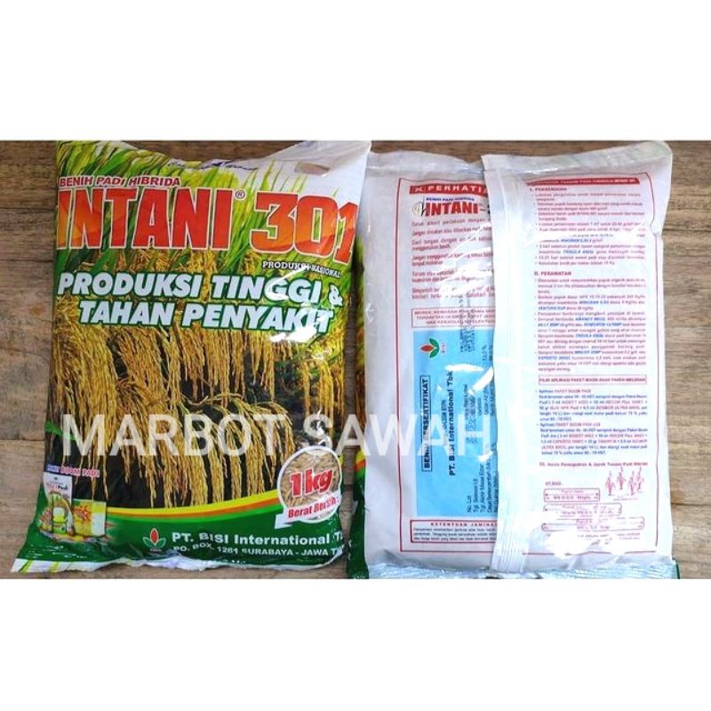 Benih Padi Hibrida Padi INTANI 301 isi 1kg (EXP 12/2022)