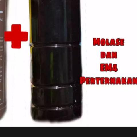 ☚ EM4 PETERNAKAN DAN MOLASE ➻