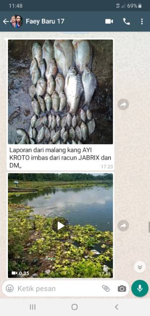 Essen ikan nila jitu umpan lumut aroma wangi doger essen ikan nila babon