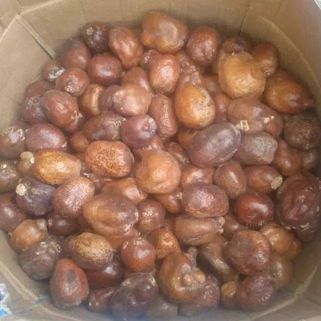 Buah zuriat 500gram buah suriat promil per kemasan,