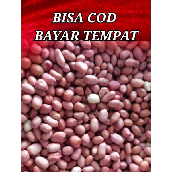 

kacang tanah mentah 500 gr