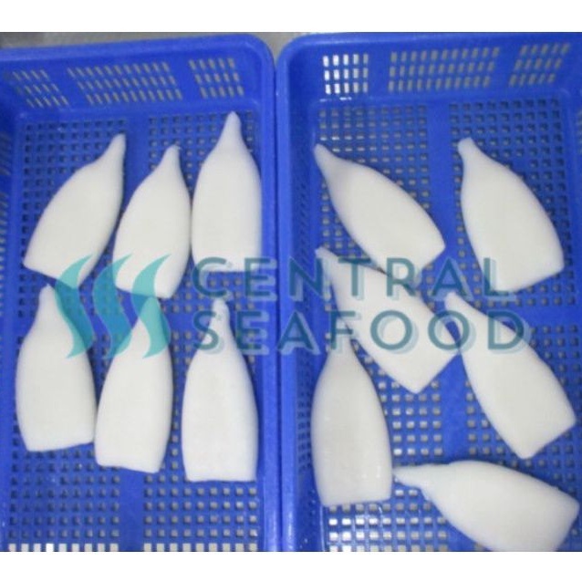 

Cumi Tube 1kg Kupas Bersih Putih Jamin Bagus