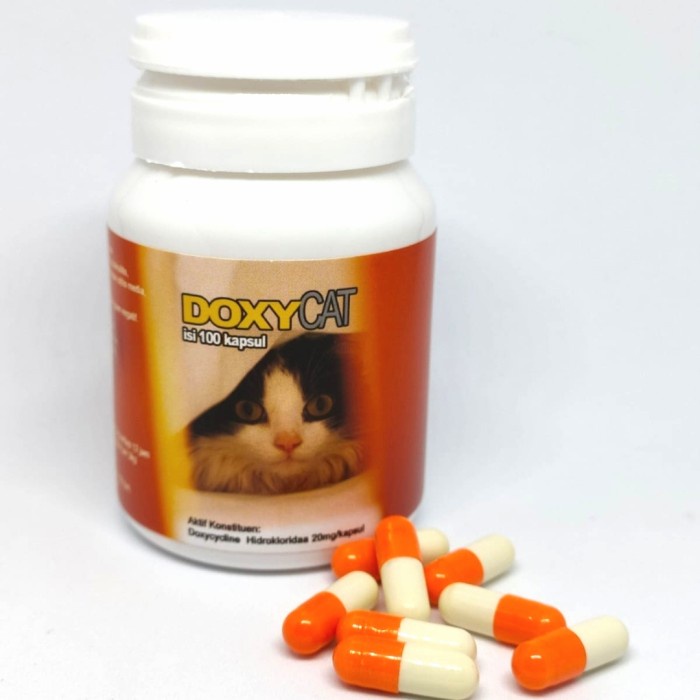 NEW Obat Flu Kucing Doxy cat Ecer Kapsul DoxyCat Im Organic Antibiotik