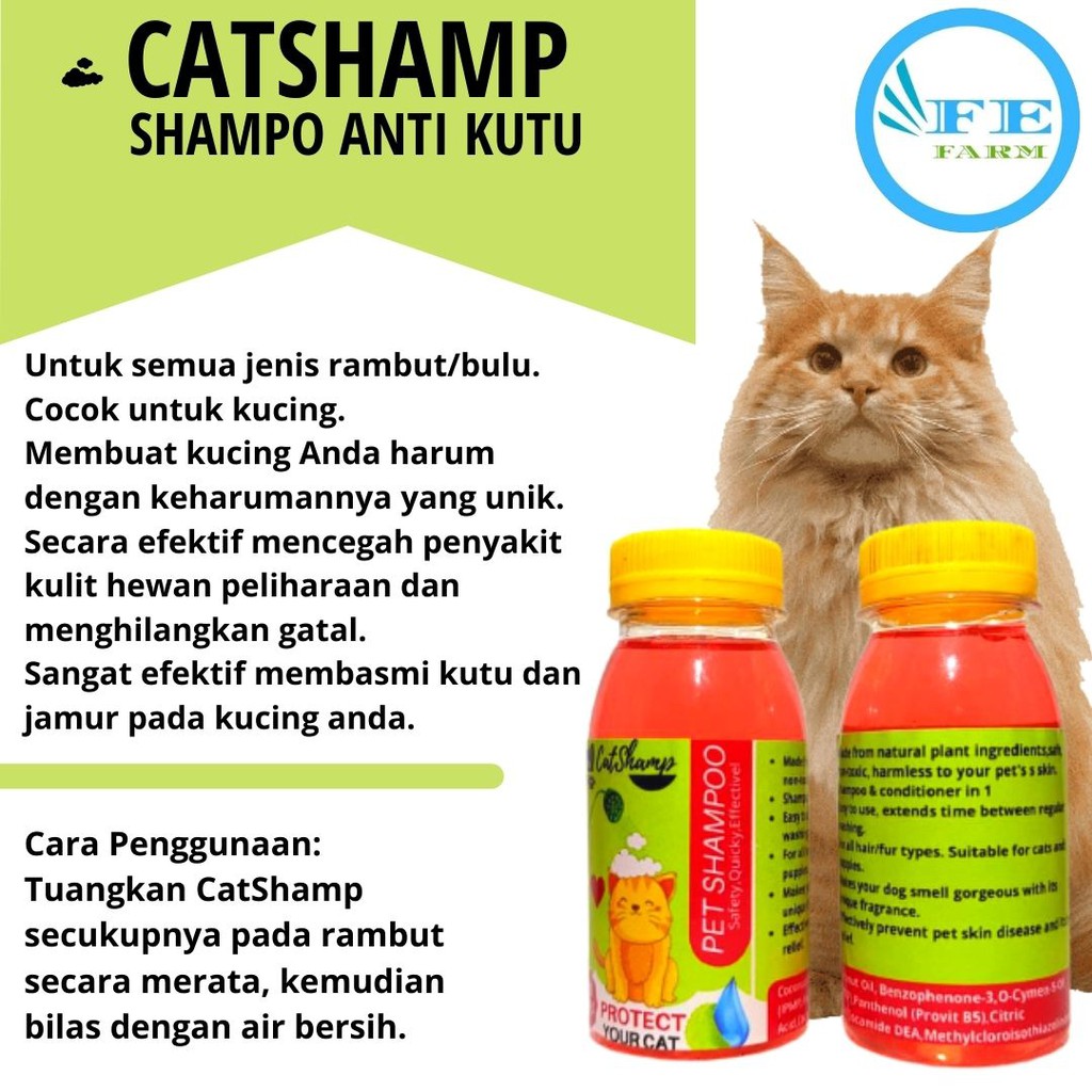 Shampo Sampo Shampoo Anti Kutu Kucing Cat Shamp No Flea FEFARM