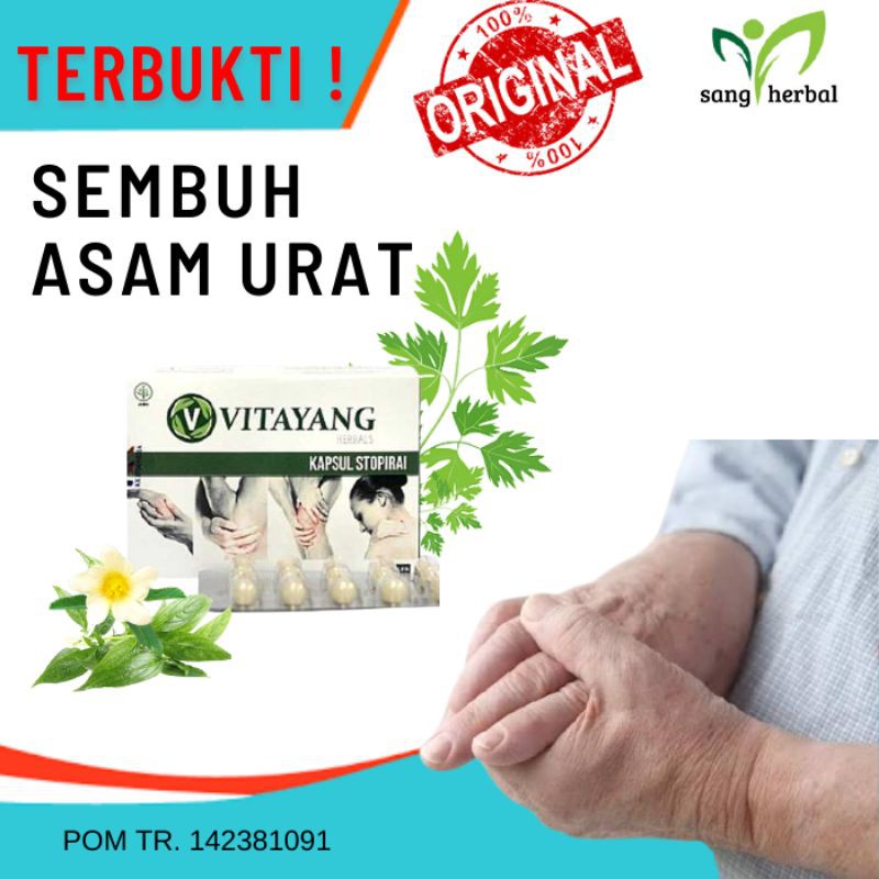 

Obat Herbal Asam Urat Ampuh Sambiloto Seledri Antioksidan Kapsul Vitayang Rematik Sakit Pinggang