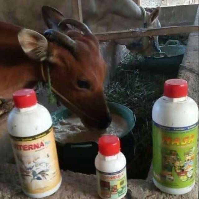 Paket Ternak Nasa / Penggemuk Sapi,  Ayam, Kambing / Agen Nasa
