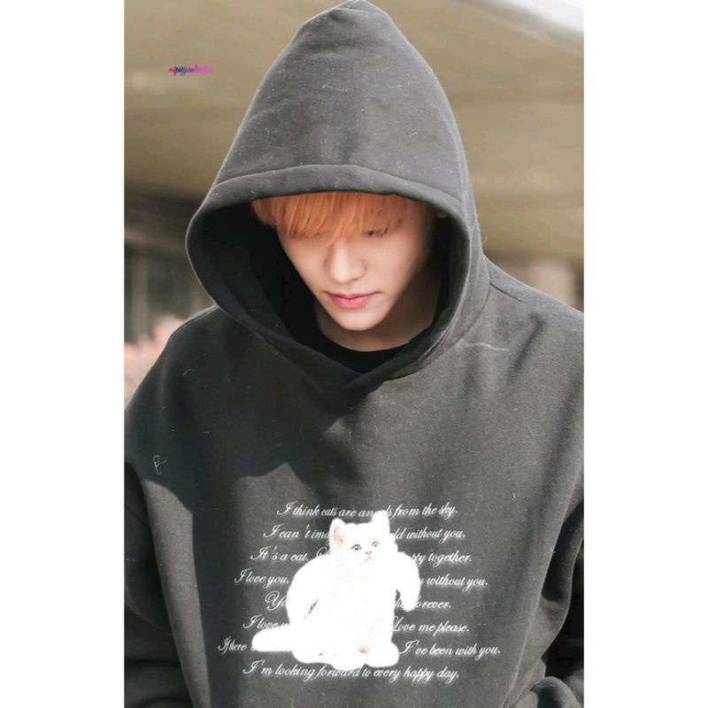READY STOCK JAKET HOODIE JAEMIN CAT ANGLE ITZVIBE  KOREAN