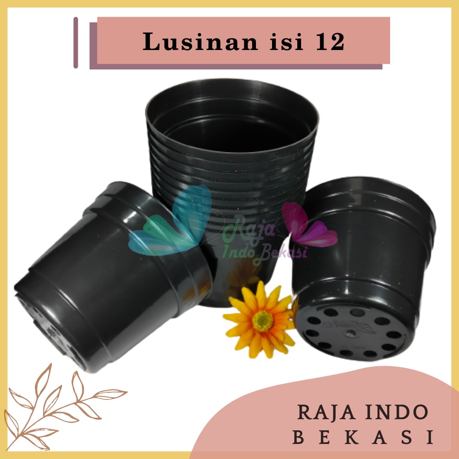 Lusinan Pot 12 Cm Hitam Polos - Pot 12 Hitam Kecil Mini Minimalis Plastik Kaktus Sukulen Mini Murah Pot Bibit Pembibitan - Pot 12 Cm Grosir Lusinan