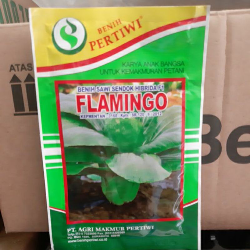 benih pakcoy FLAMINGO 10gr PERTIWI pakchoy