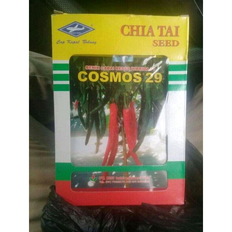 benih cosmos 29   cabe besar buah lebat
