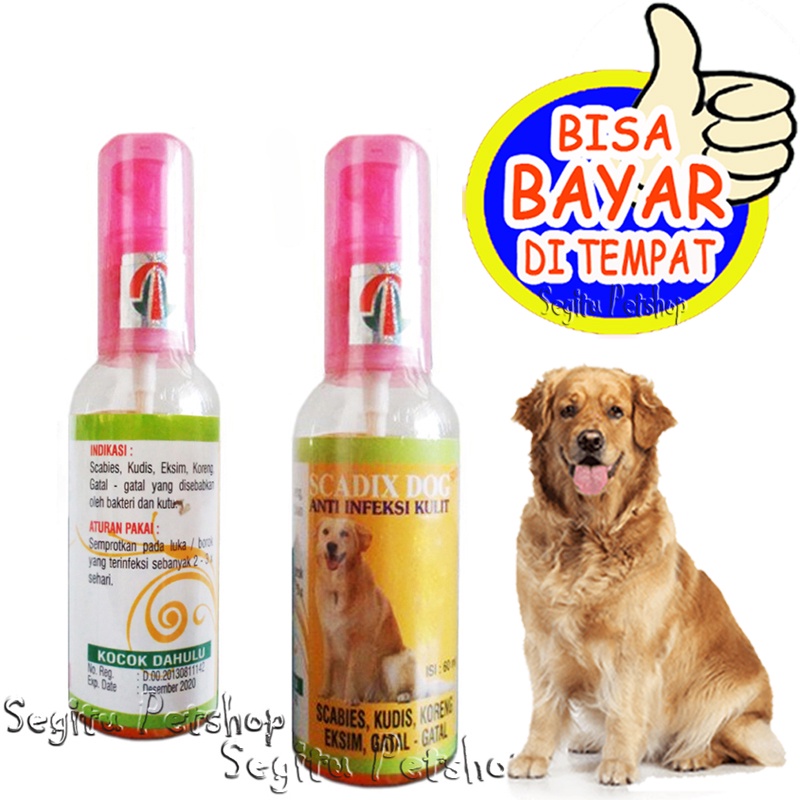 OBAT JAMUR GATAL GATAL KORENG SCABIES ANJING SCADIX DOG