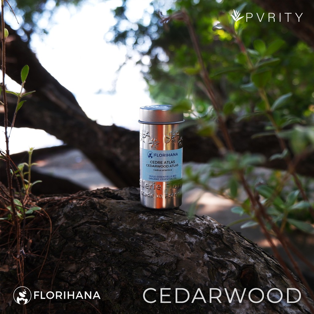 FLORIHANA - CEDARWOOD ATLAS | Pure & Organic Essential Oil