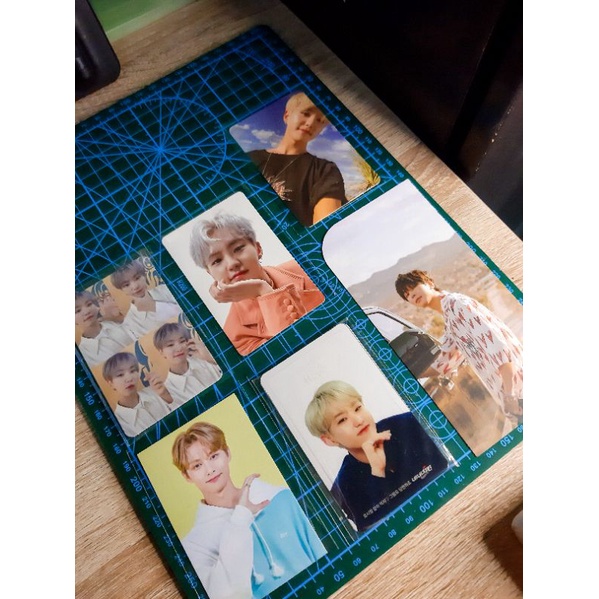 Seventeen Photocard Hoshi Wonwoo Henggarae Fallin' Flower