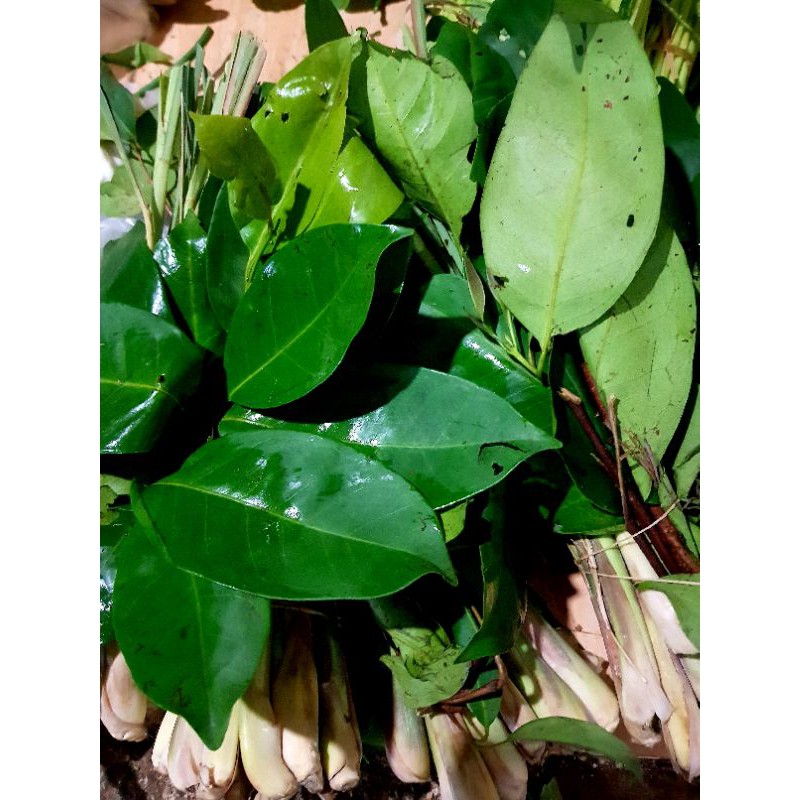 

(SAYUR SEGAR)Salam Sereh
